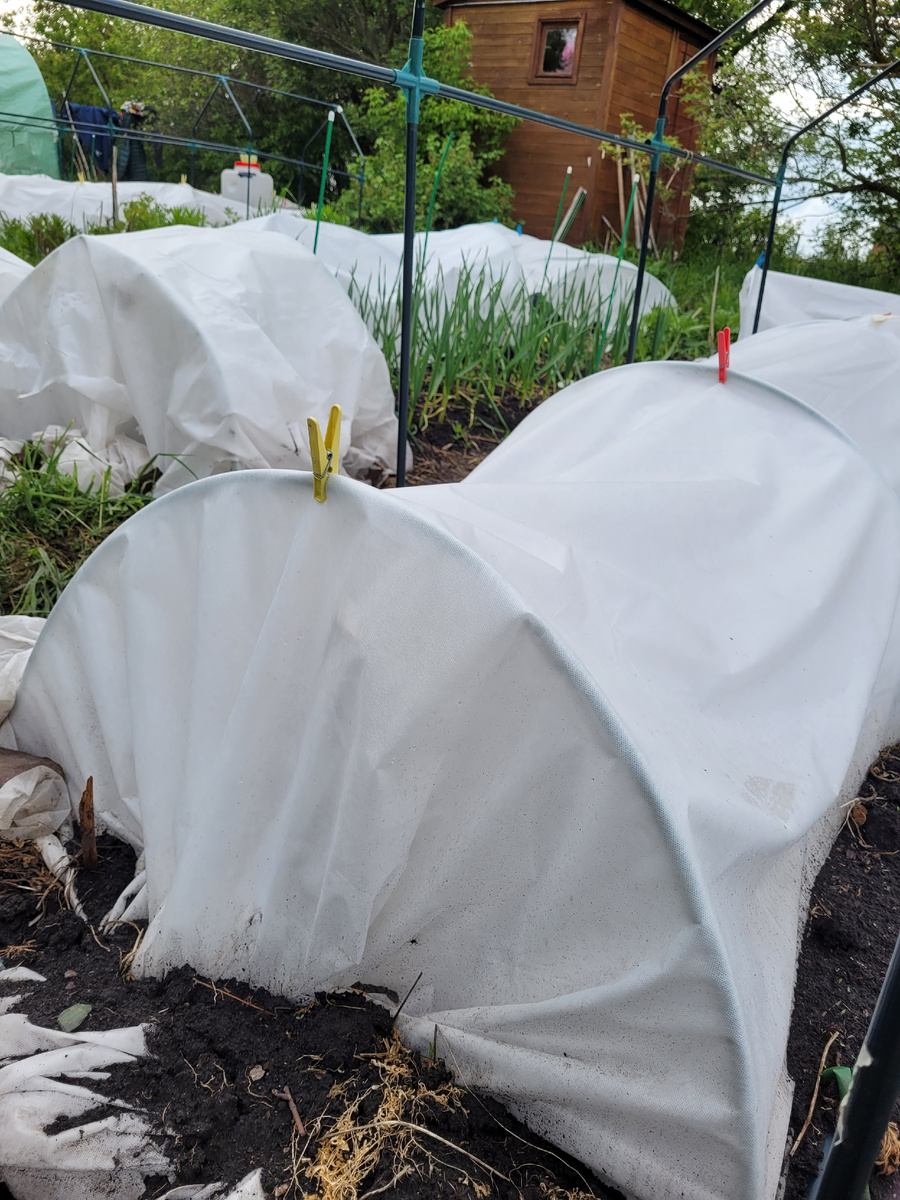 Это тоже закрытый грунт. Тут укрытие спанбондом