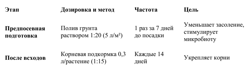 -11