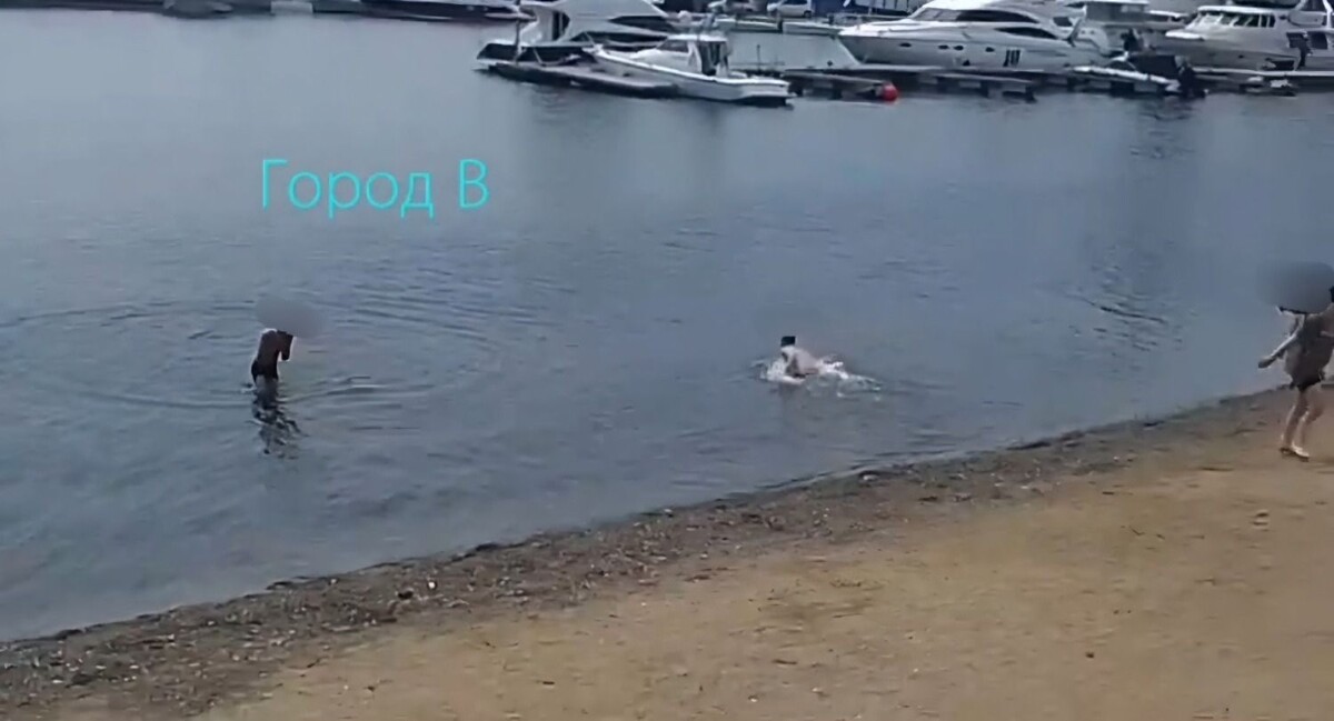     Источник: gorod_vl