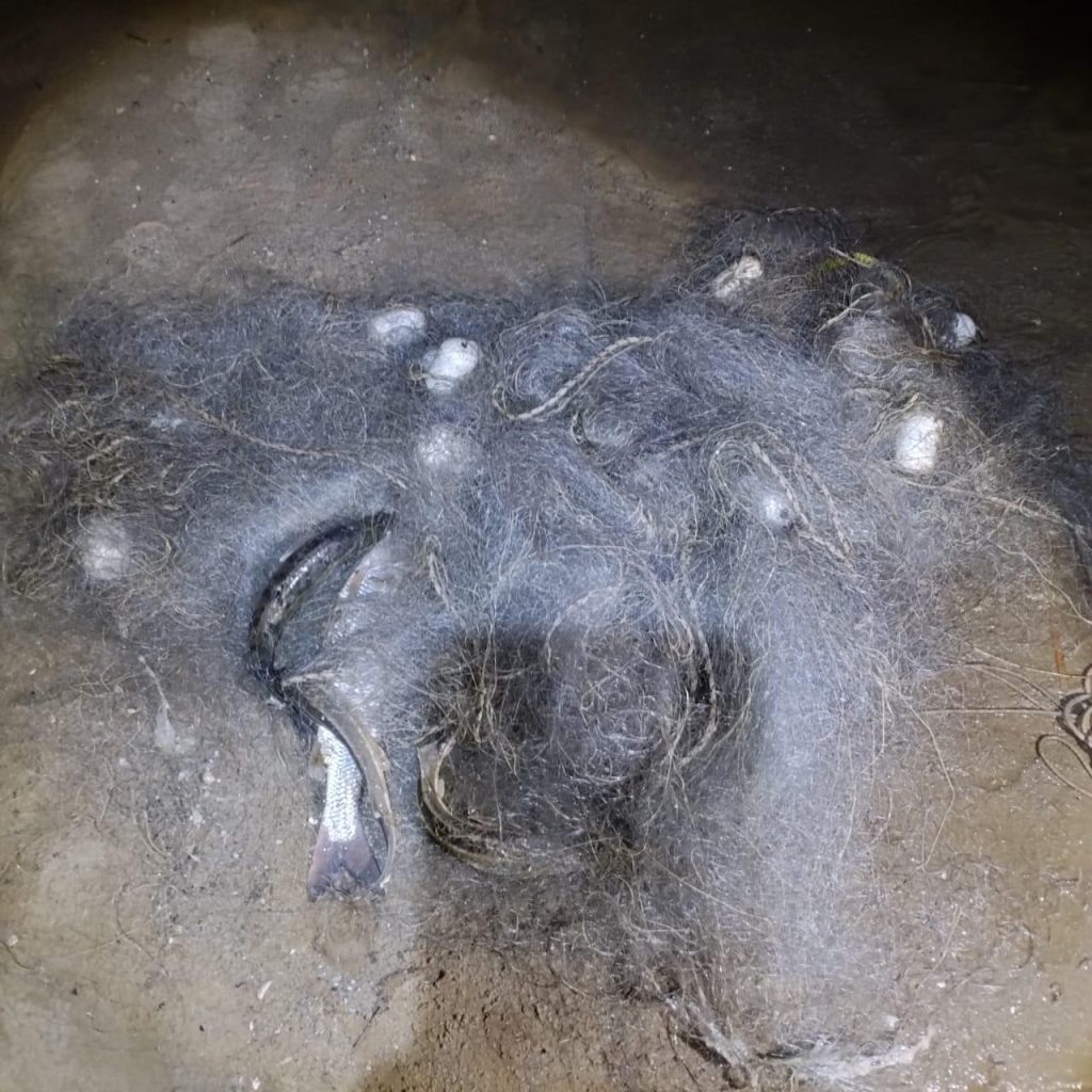      Фото пресс-службы УТ МВД России по СКФО Газета Колос