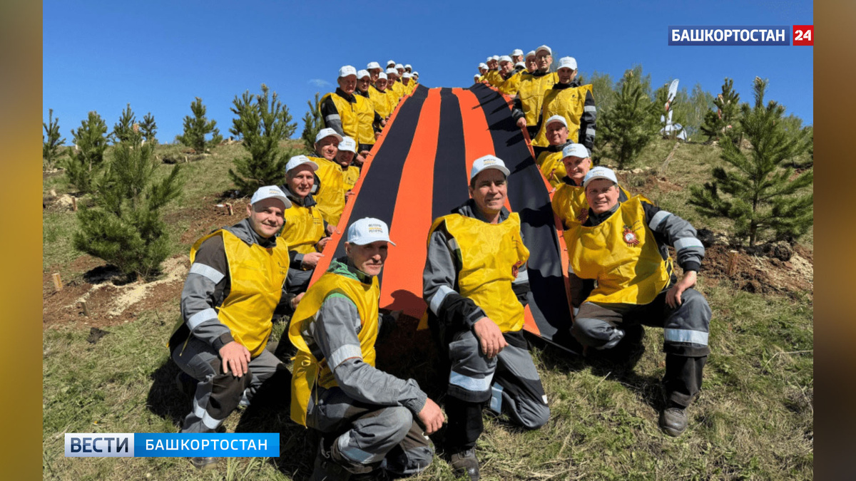    Башкирские нефтяники высадили мемориал из сосен к юбилею Победы