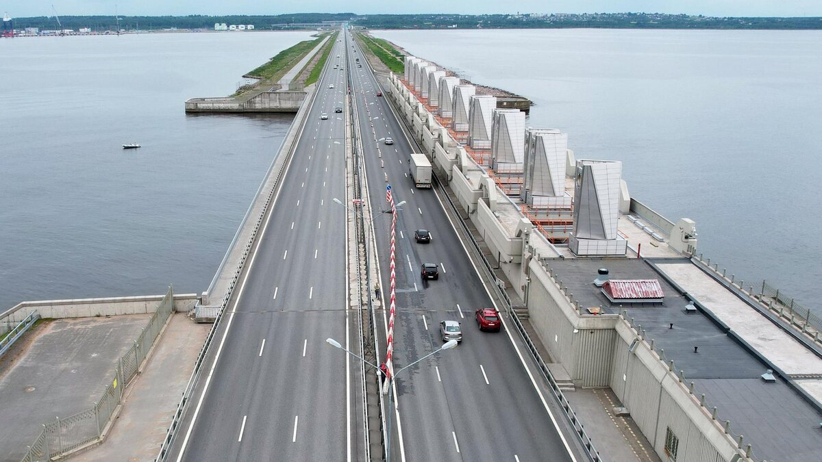    Фото: t.me/dambaspb