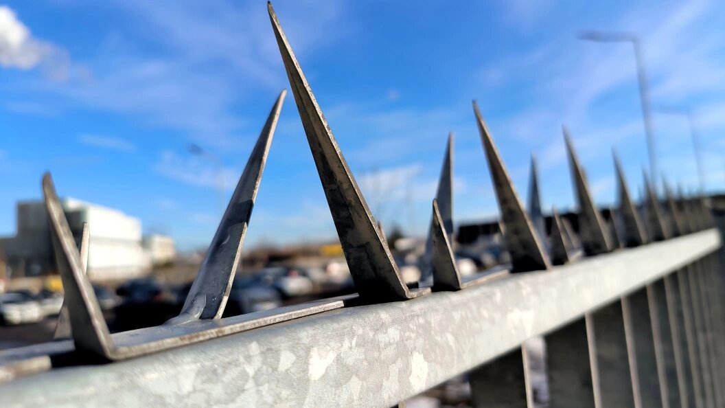    Maksim Konstantinov/Global Look Press