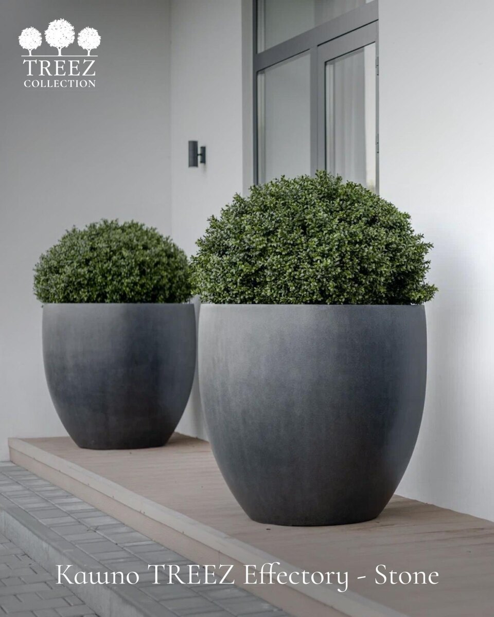 Кашпо и растения Treez Collection