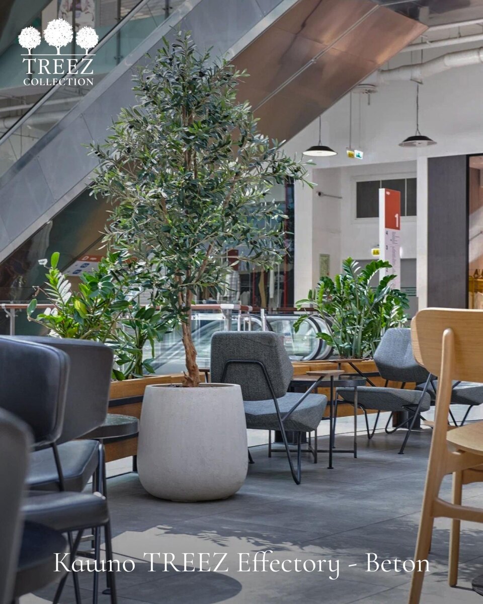 Кашпо и растения Treez Collection