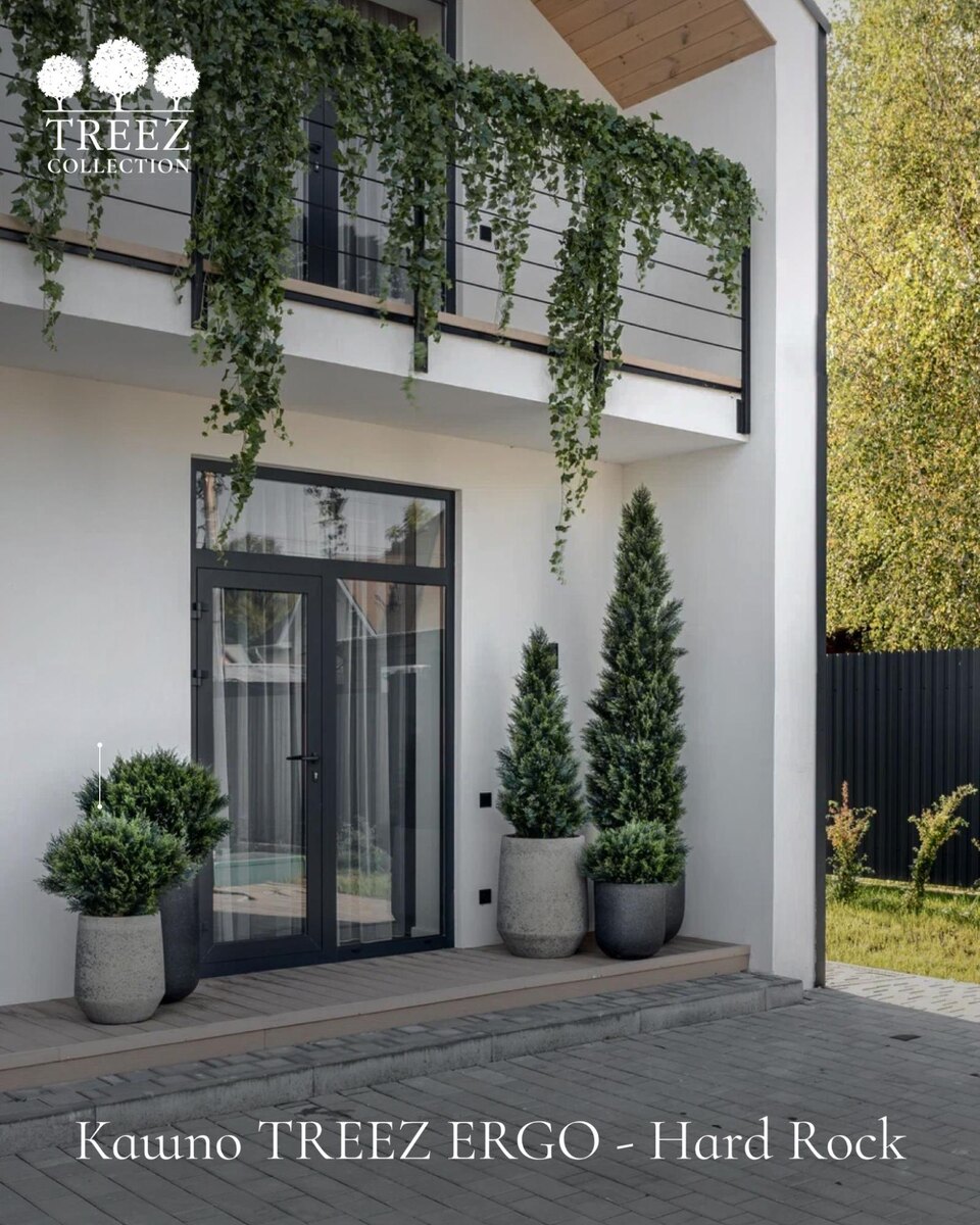 Кашпо и растения Treez Collection