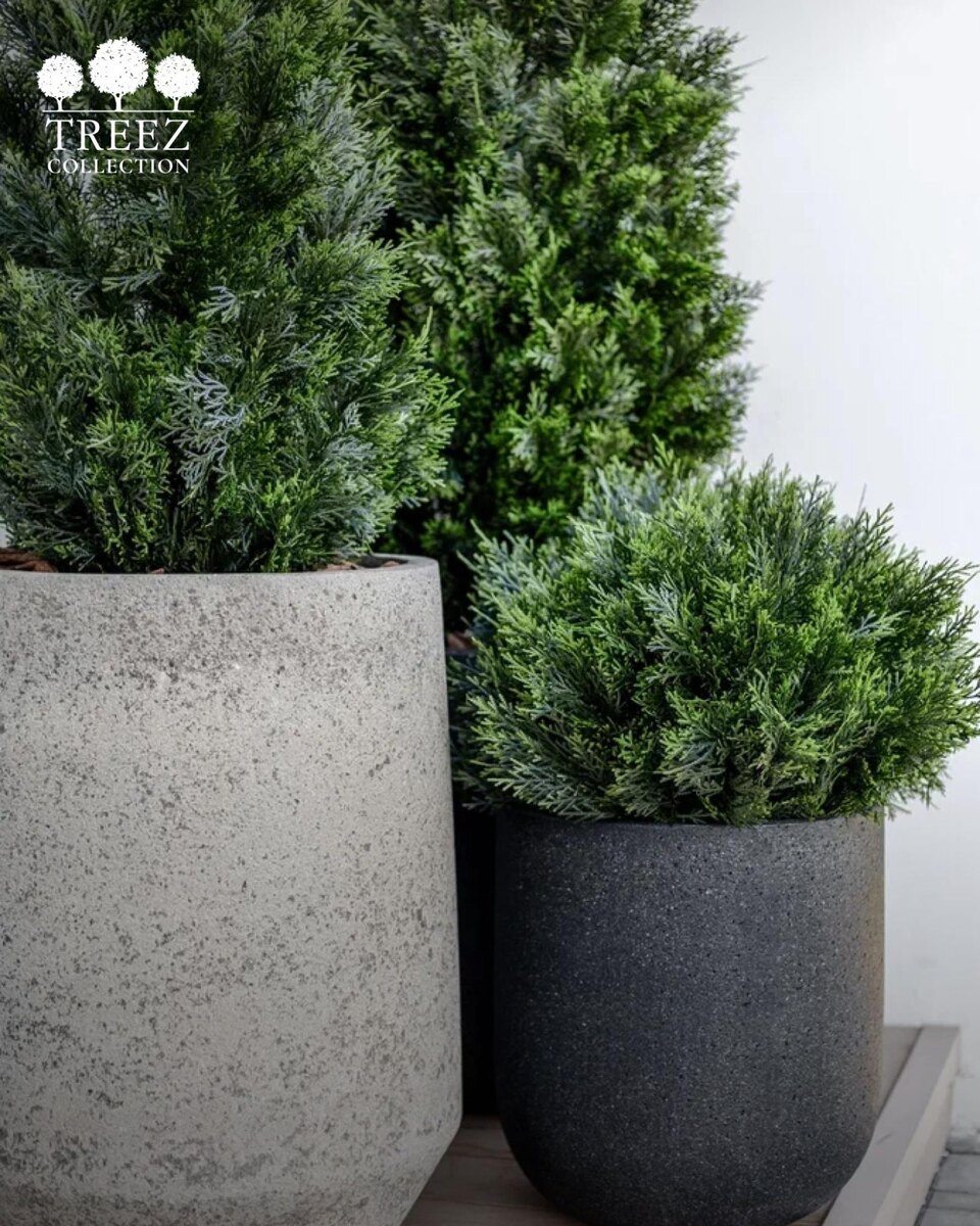 Кашпо и растения Treez Collection