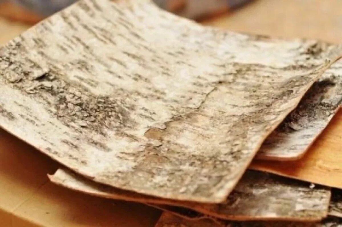    За год Удмуртия экспортировала 80 кг бересты в Японию, Испанию и Данию