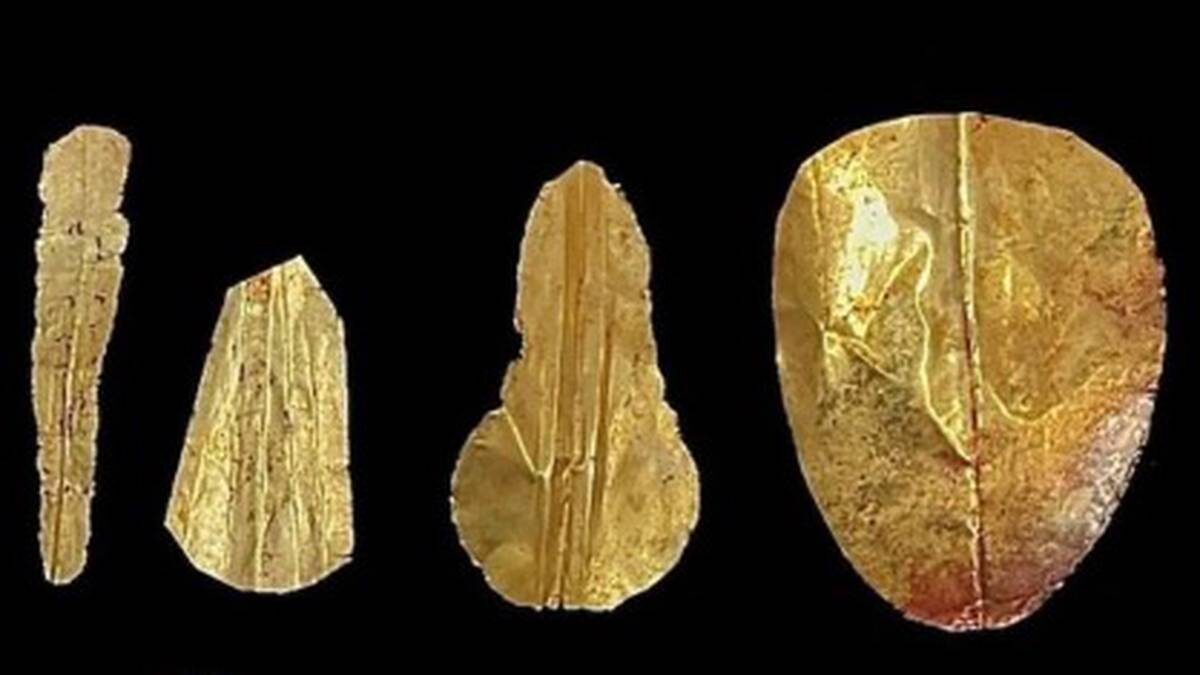    Фото: пресс-служба Университета Барселоны