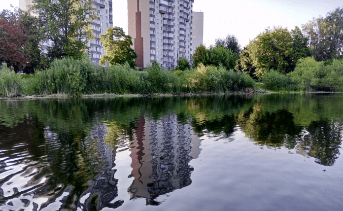    Фото: Минэкологии Московской области