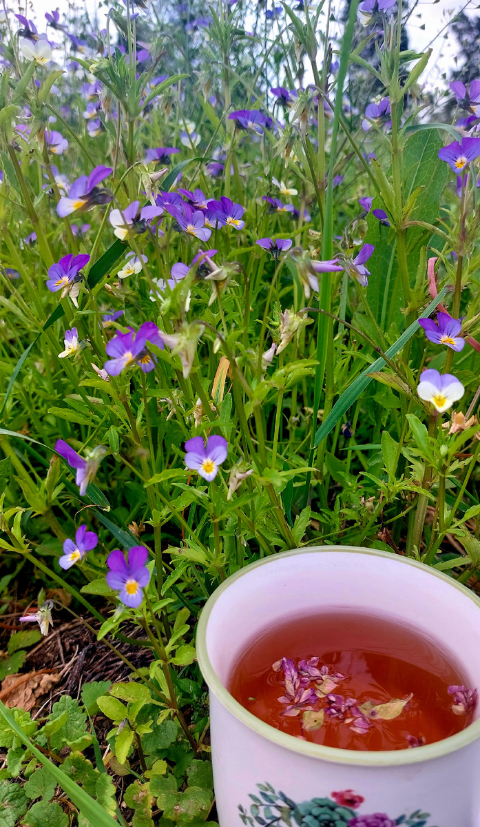 Летнее настроение начинается с Анютиных глазок, мороженого и холодной окрошки