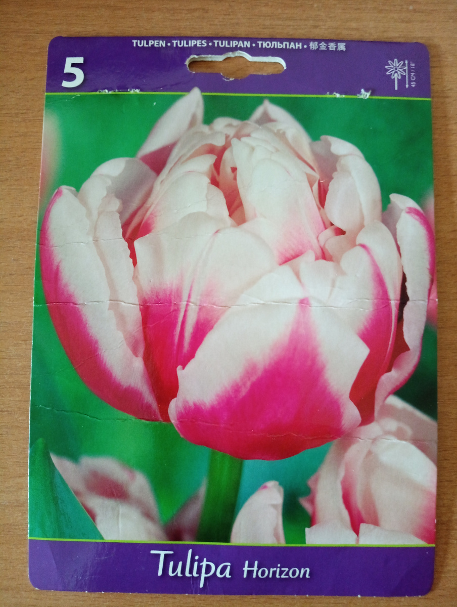 Луковицы пришли в отличном состоянии в такой красочной упаковке.