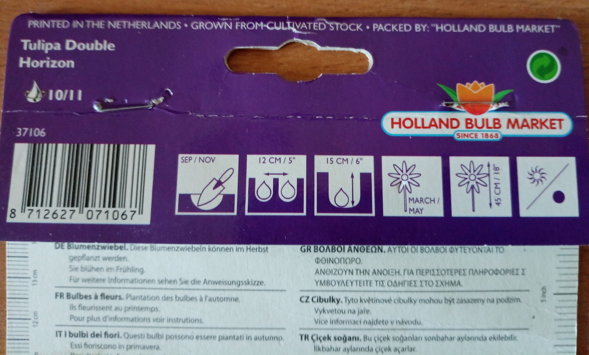 Схема- инструкция, которая прилагалась к луковицам. 