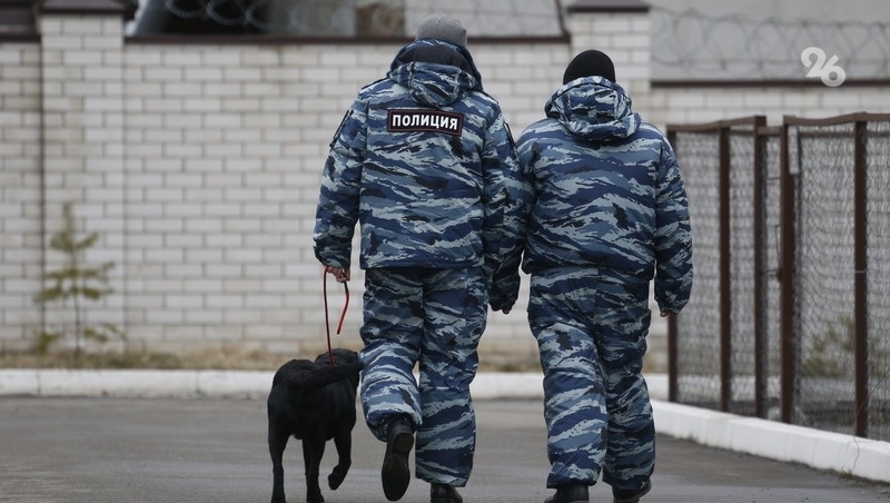      Фото: ИА «Победа26»