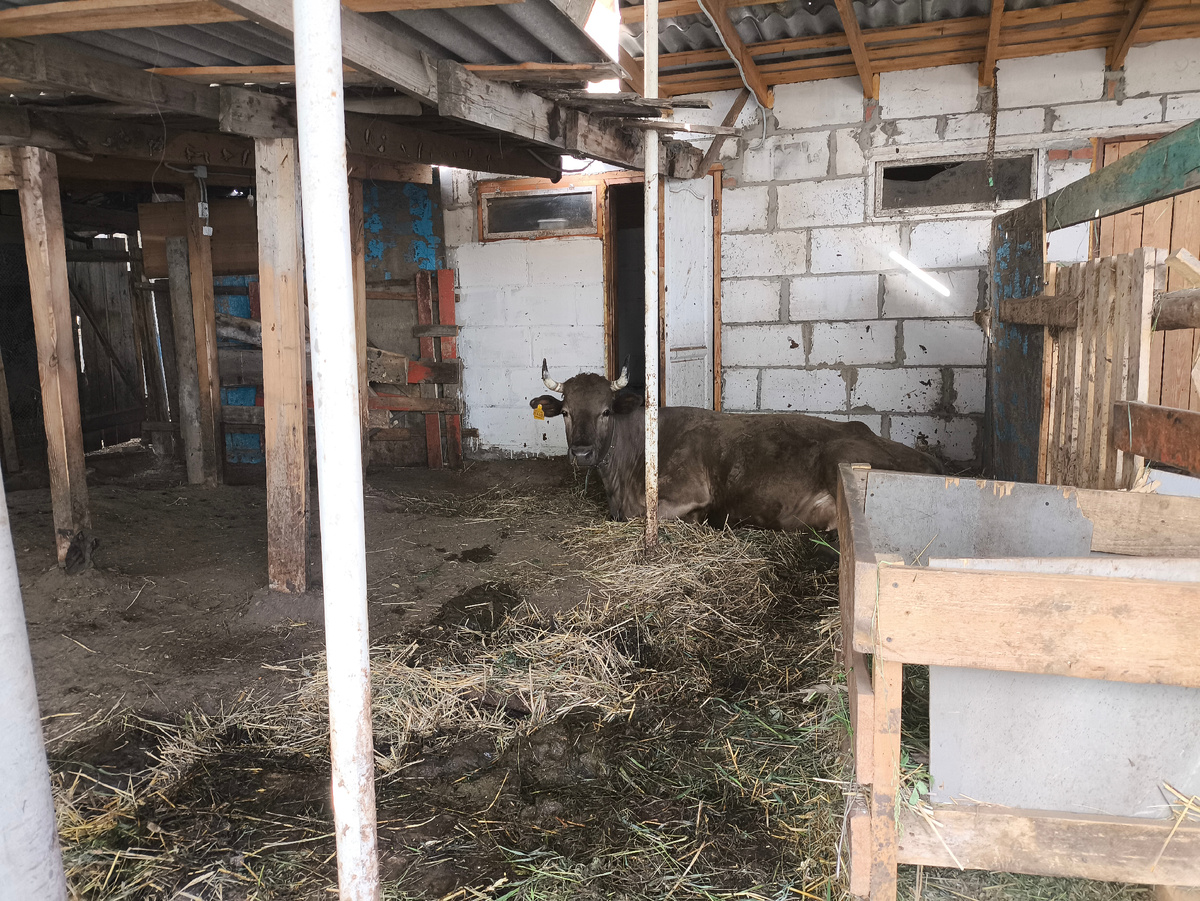 Наша кормилица 😃