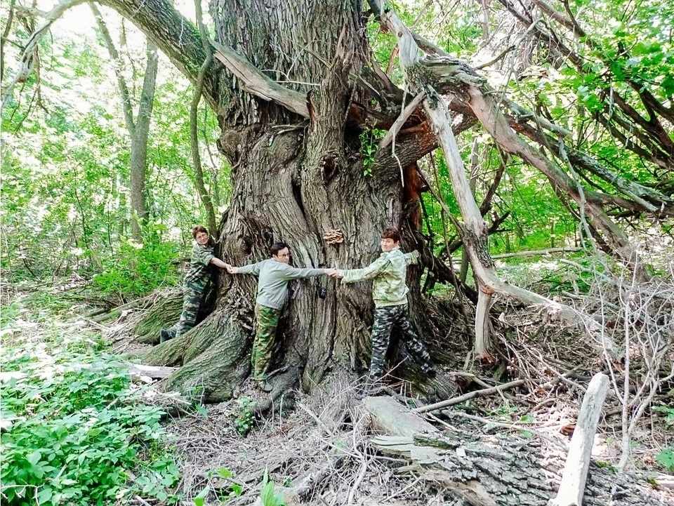    Фото национального парка "Самарская Лука"