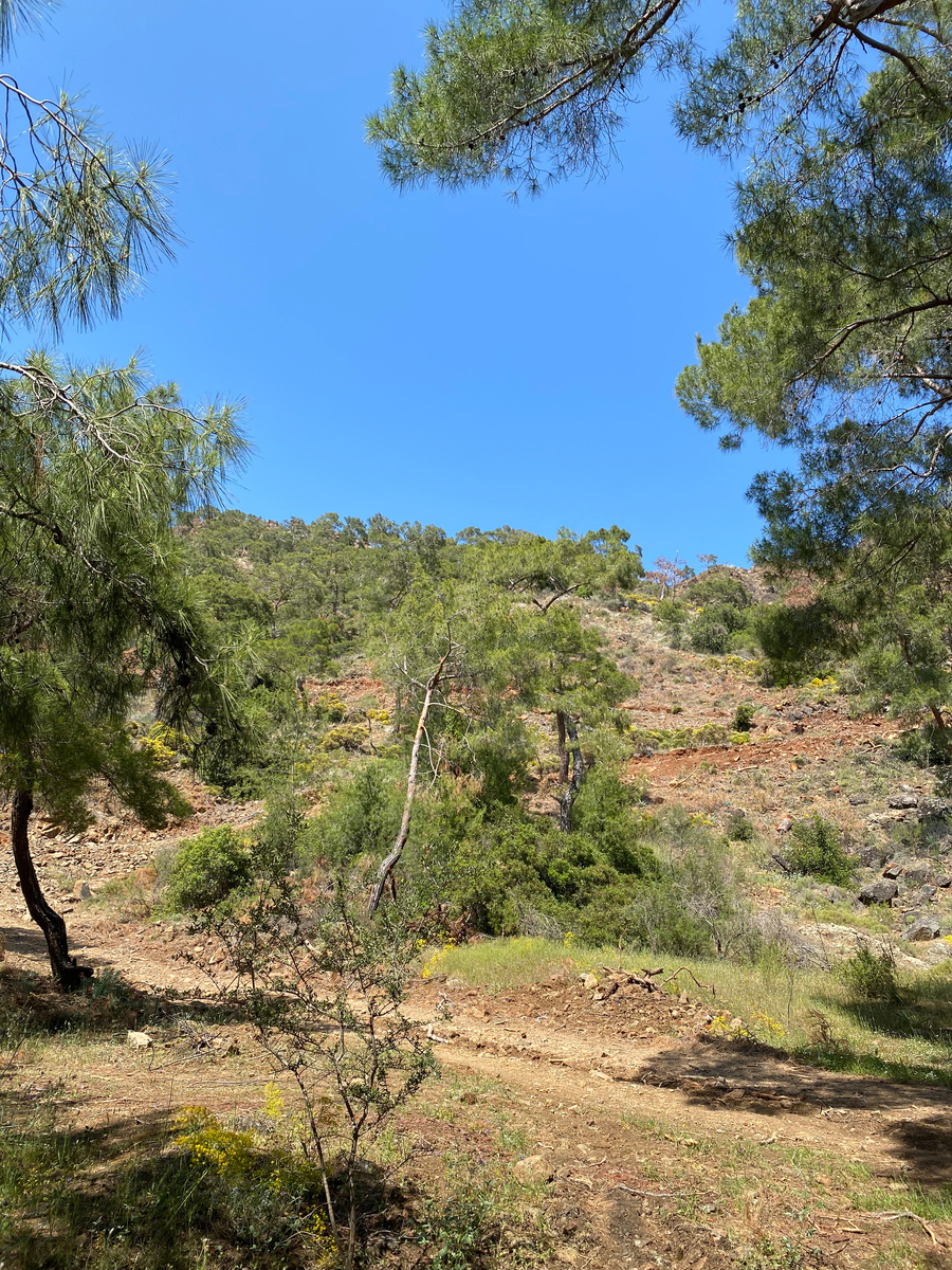 Начало пути