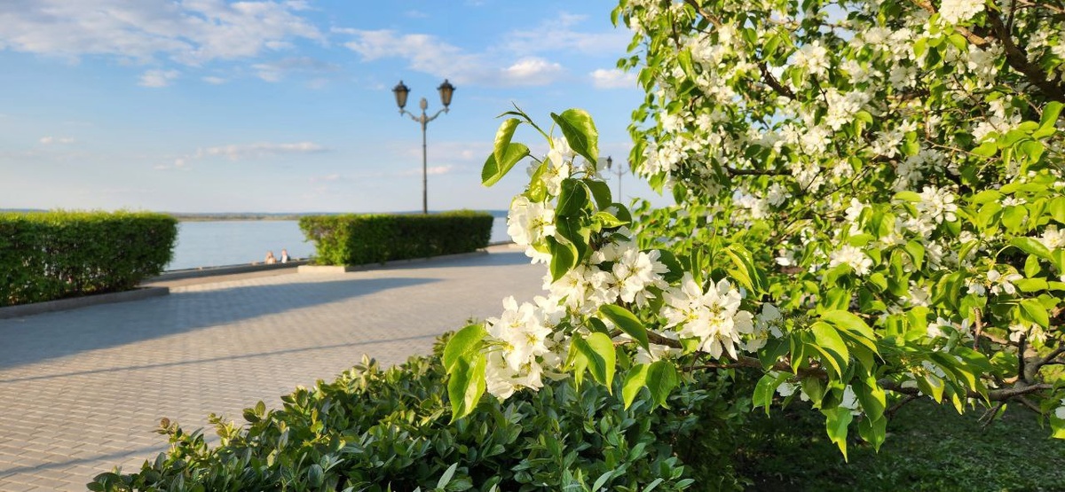    Фото из архива Progorod