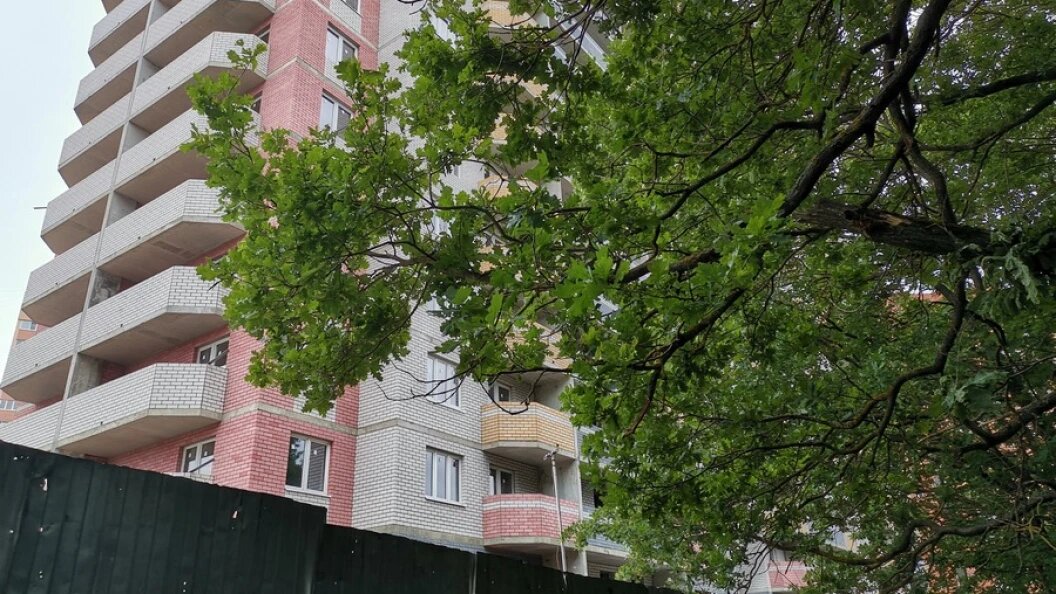    Фото: Царьград