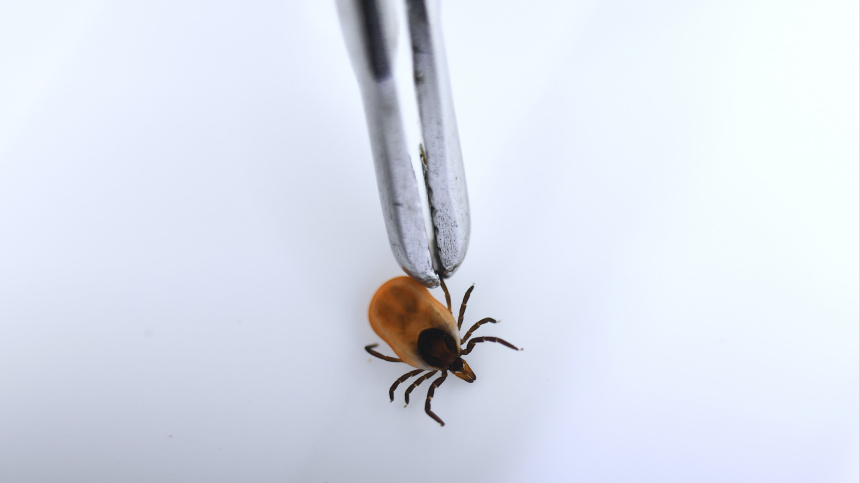    Фото: © РИА Новости/Павел Лисицын