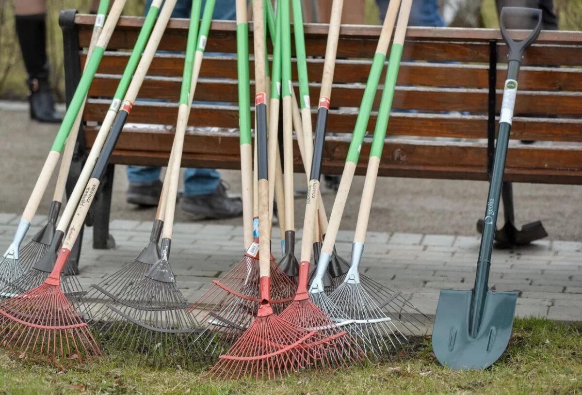   В Воронеже усилят контроль за поддержанием чистоты управляющими компаниями