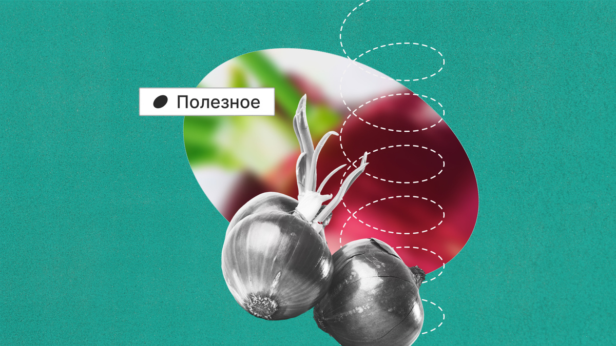 В чём причина луковых слёз? 