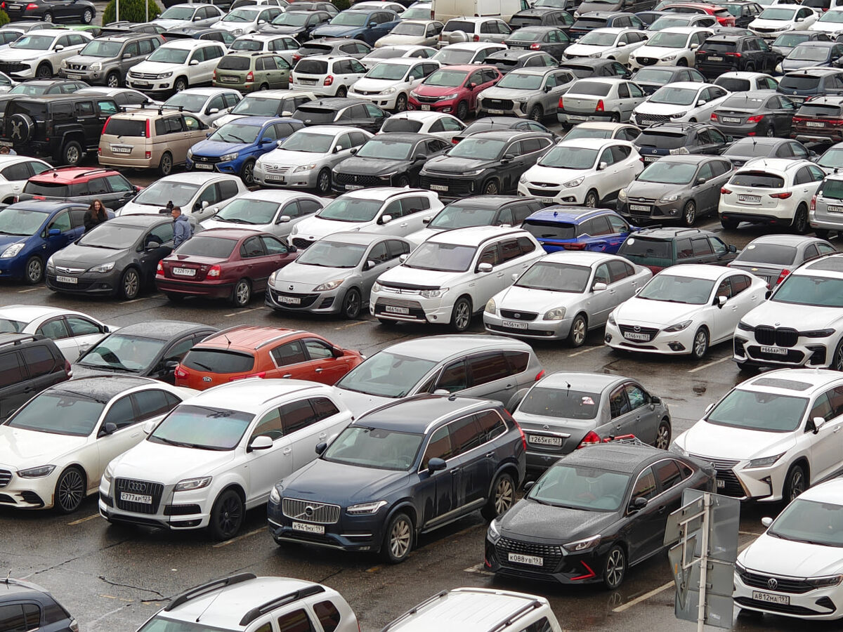    Фото: Юрий Серебренников/BFM Кубань