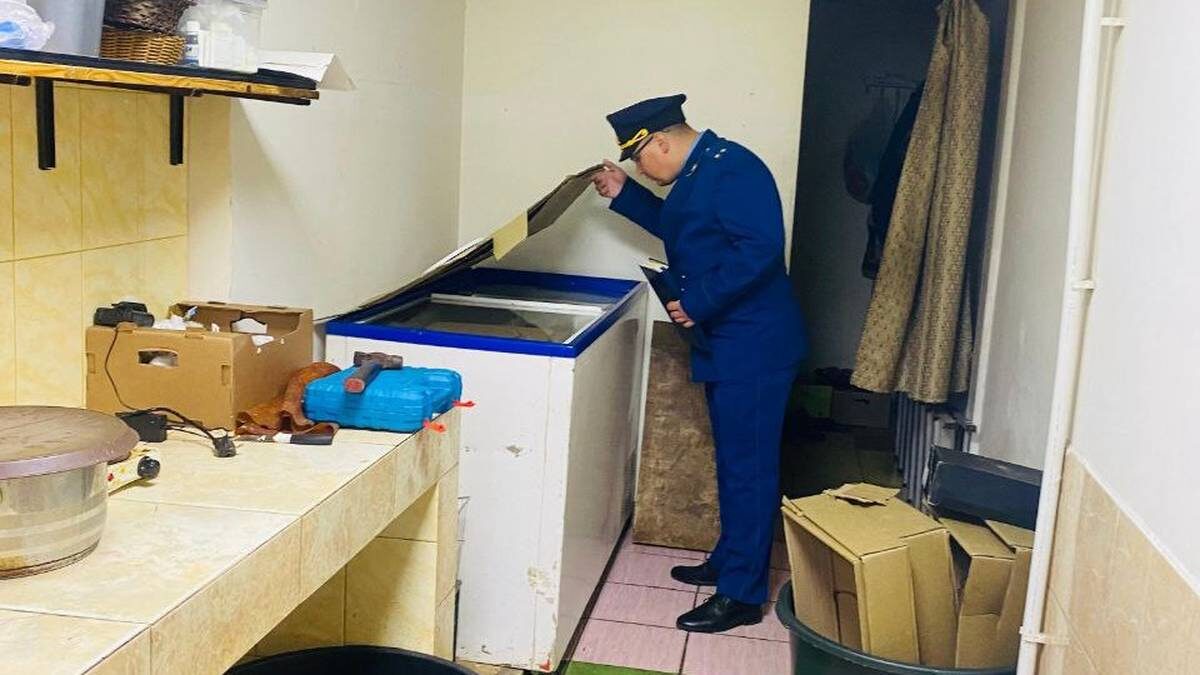    Фото: пресс-служба прокуратуры Ленинградской области