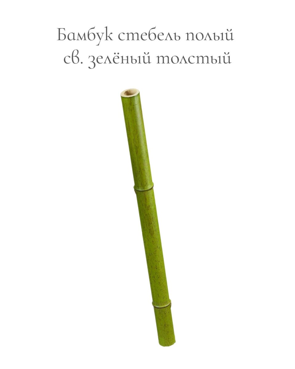 Растения Treez Collection