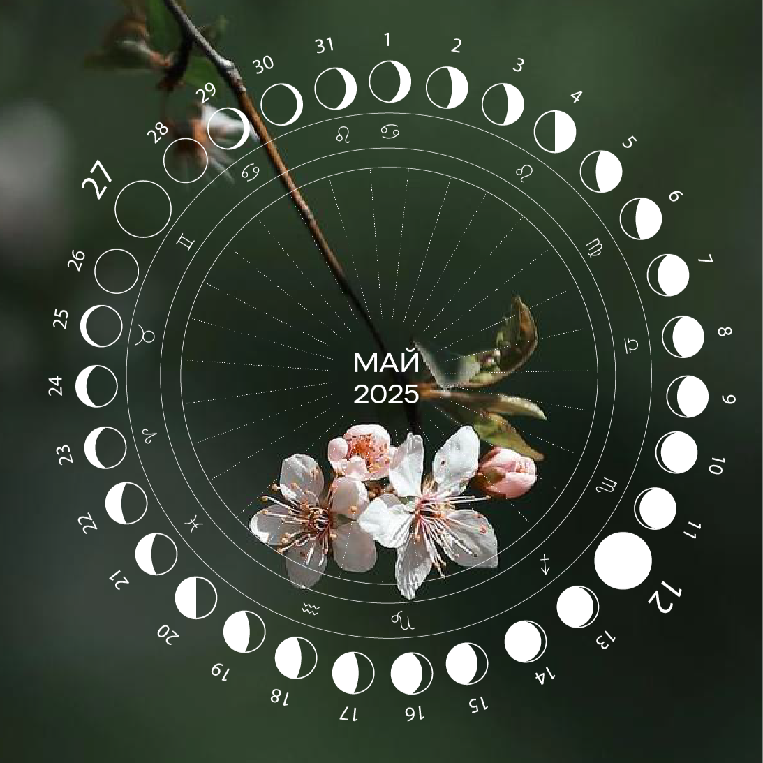 Лунные циклы - Май 2025