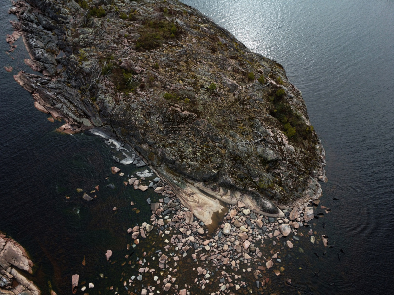    Ладожские нерпы позировали гиду из КарелииАнна Машигина