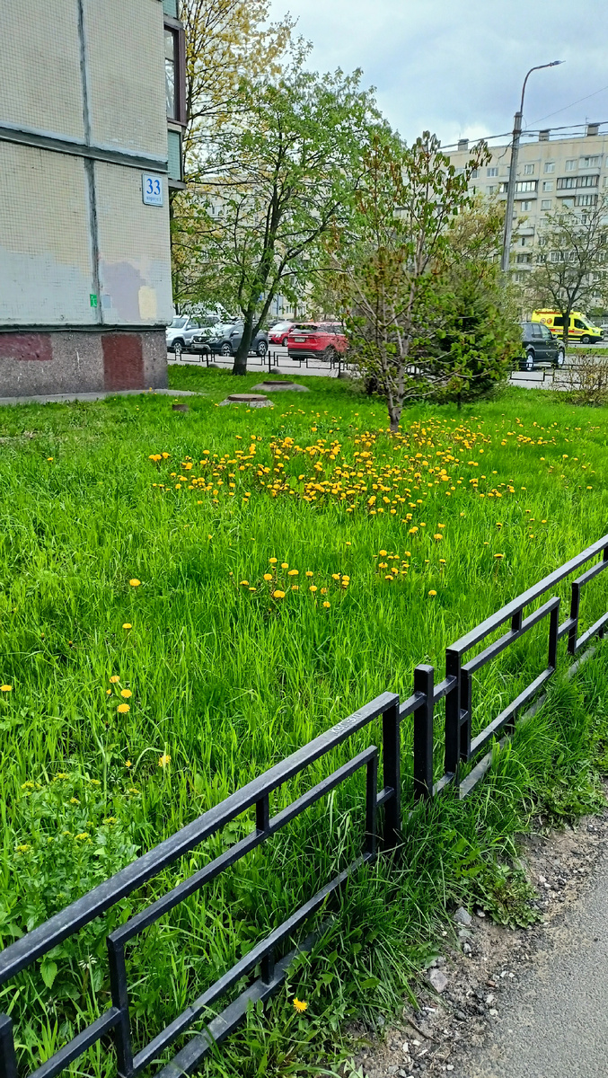 Фото автора. 14ч. СПб