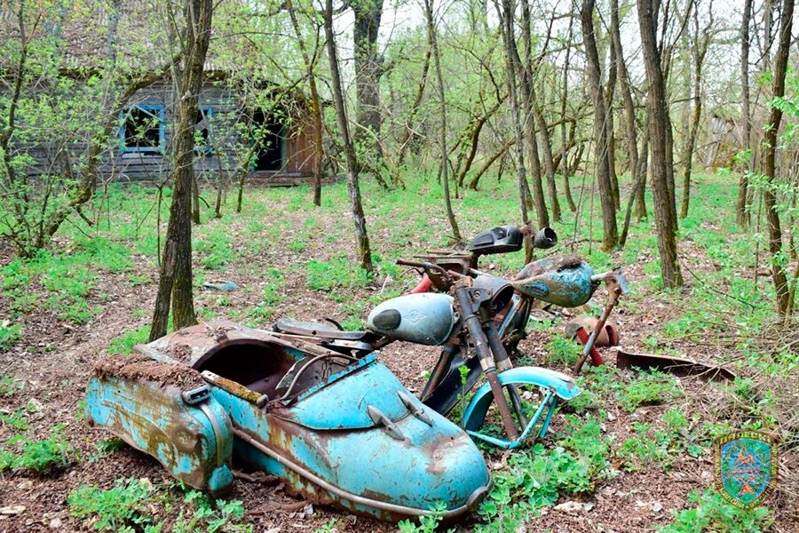    Фото: zapovednik.by