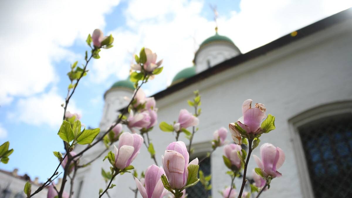    Фото: Пелагия Замятина / Вечерняя Москва