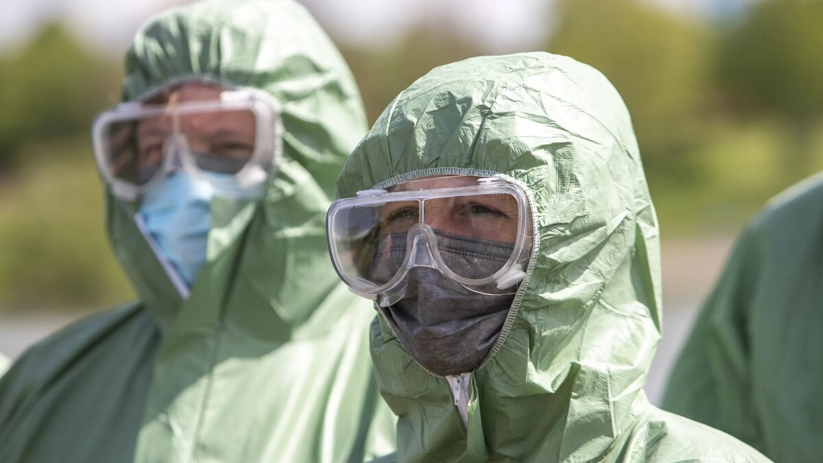    H5N1 может вызвать пандемию. Markus Matzel / www.imago-images.de / www.globallookpress.com