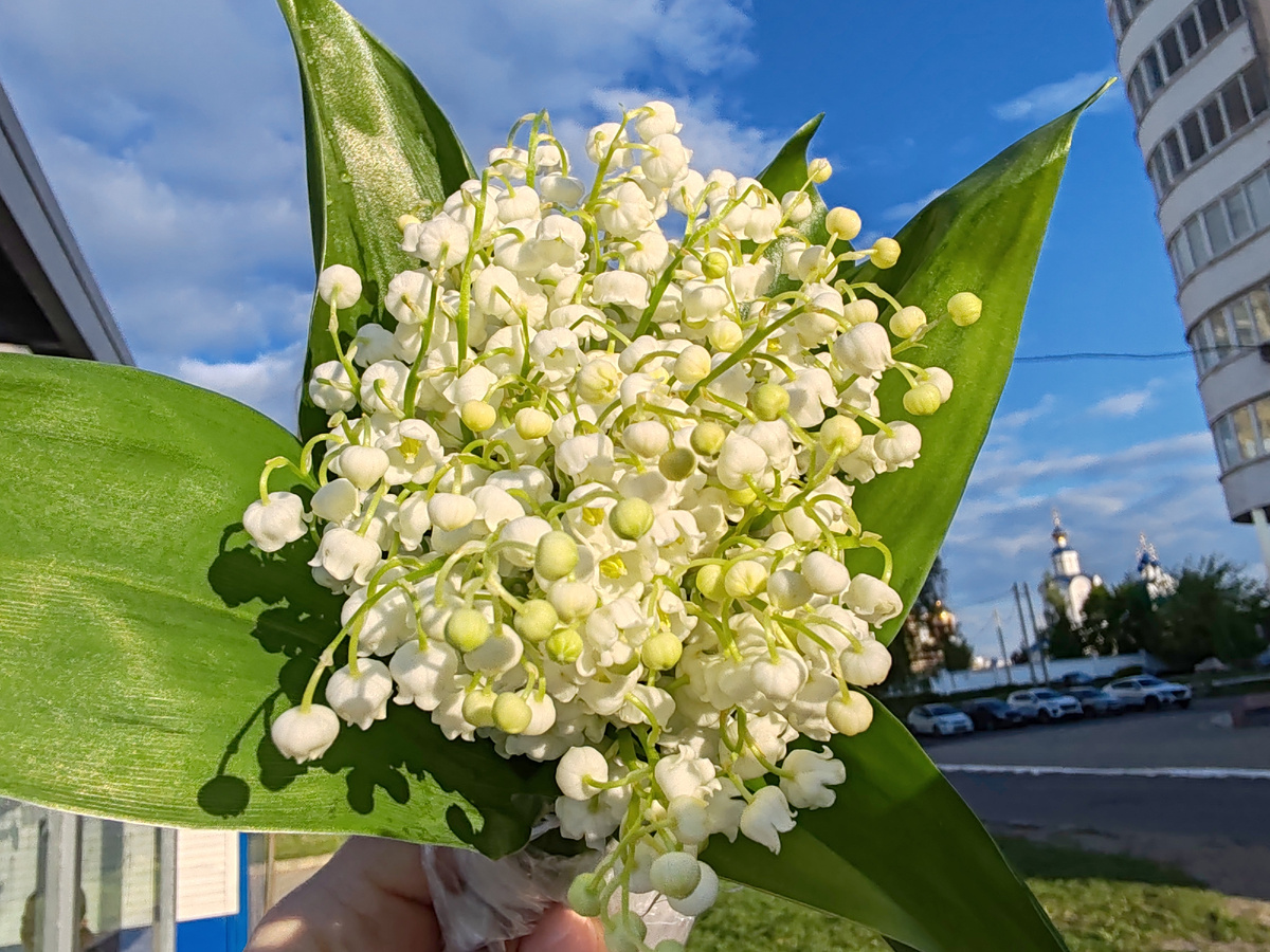 Фото автора канала. 