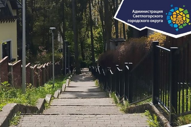   Фото: телеграм-канал Светлогорского округа