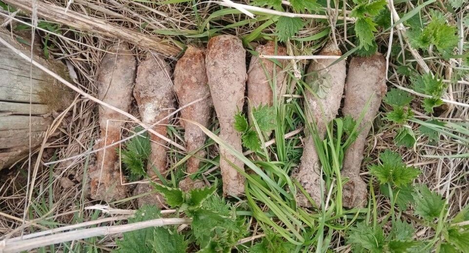    пресс-служба ГКУ МО "Мособлпожспас"