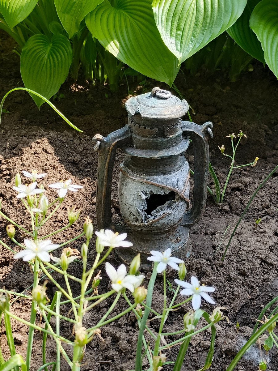 Фонарь раньше жил в аквариуме, а теперь в цветнике