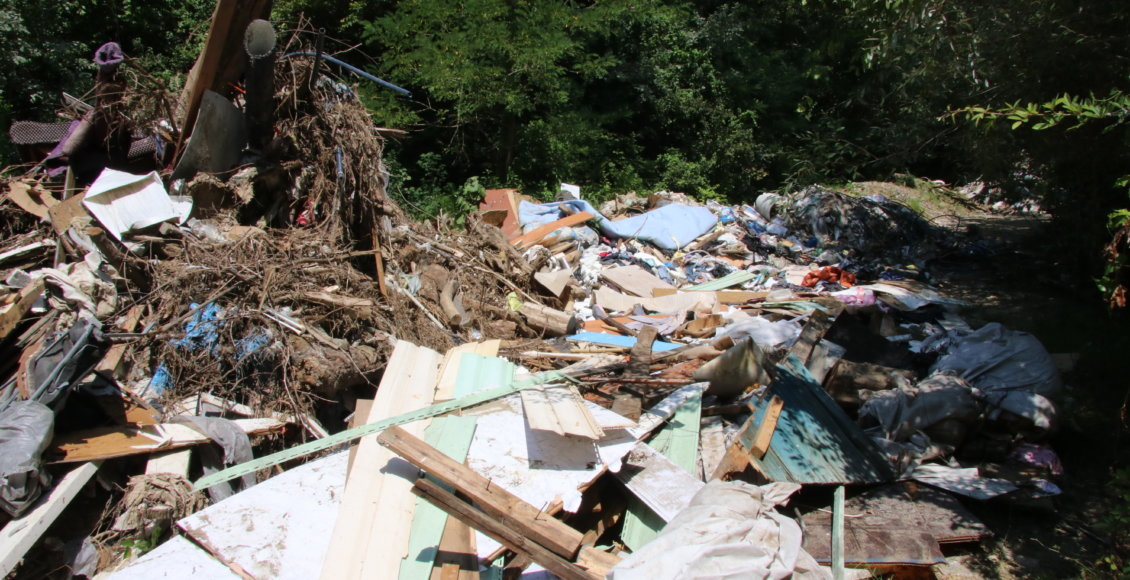    Фото: НИА "Экология"