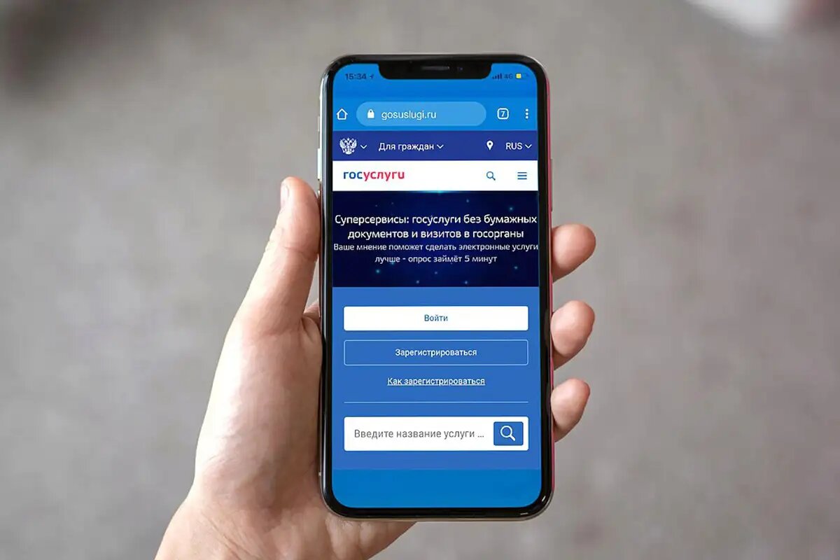    Портал «Госуслуги». © Госдума РФ