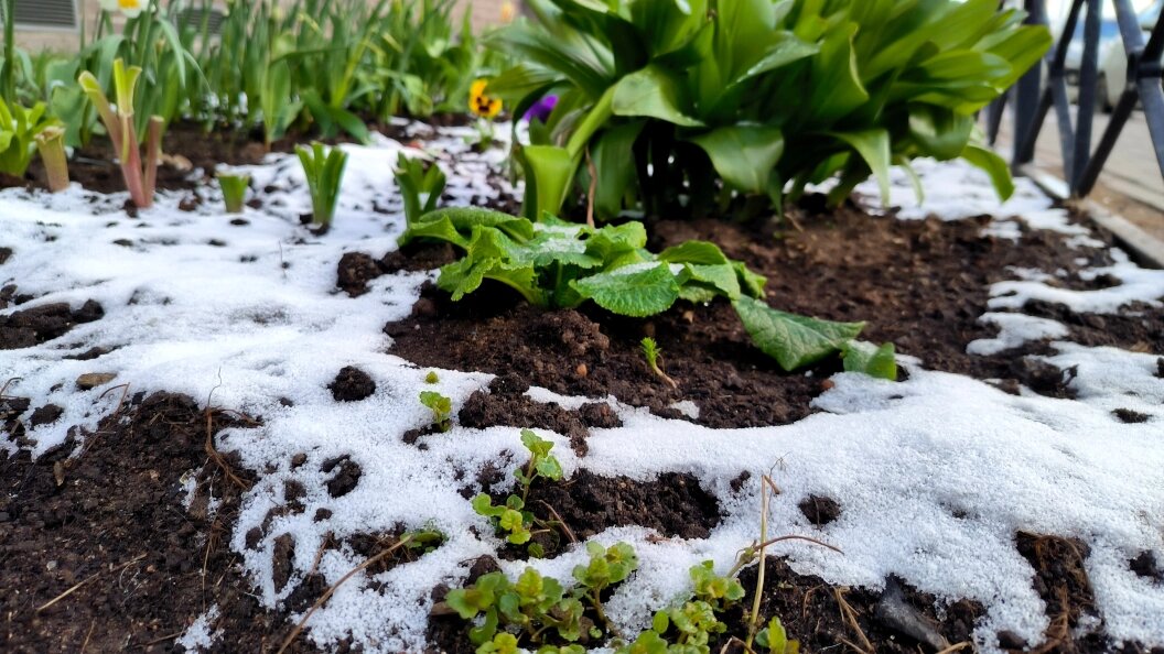    Фото: Maksim Konstantinov/Global Look Press