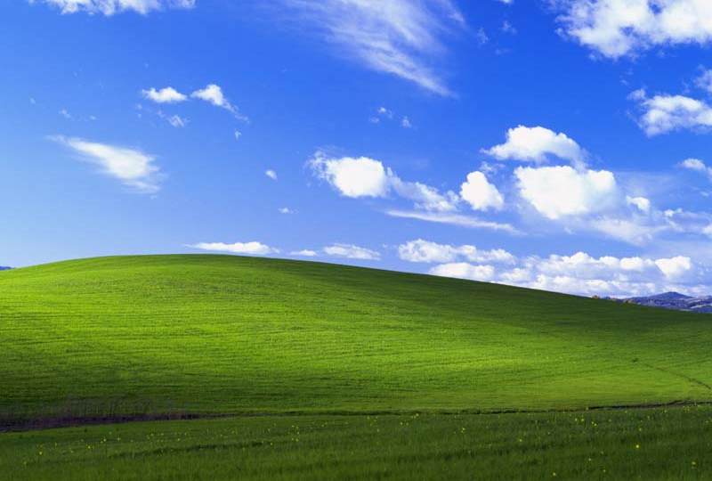 Что стало с легендарным полем с рабочего стола Windows XP?