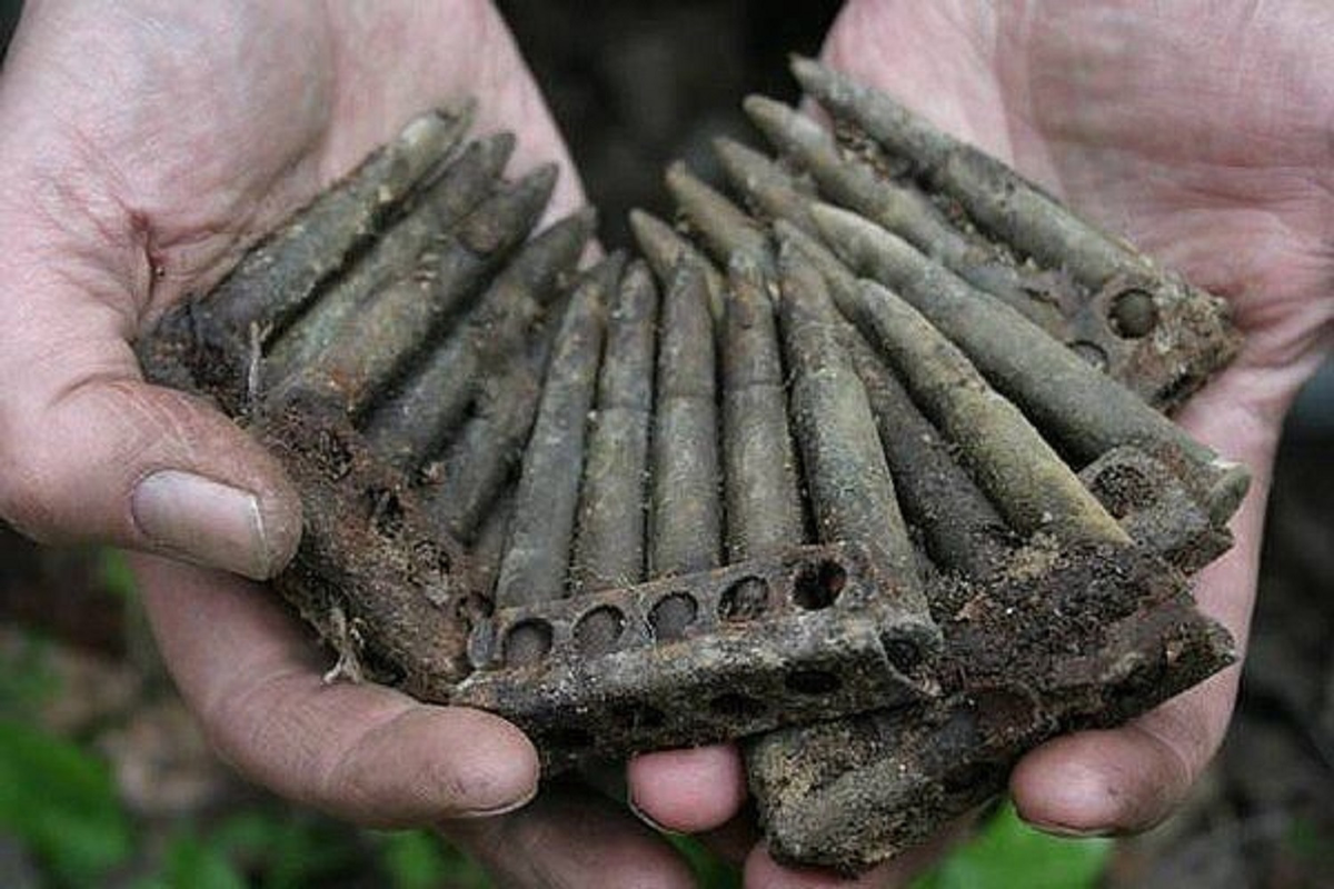 Интересно, что довольно характерное название это место получило задолго до Войны