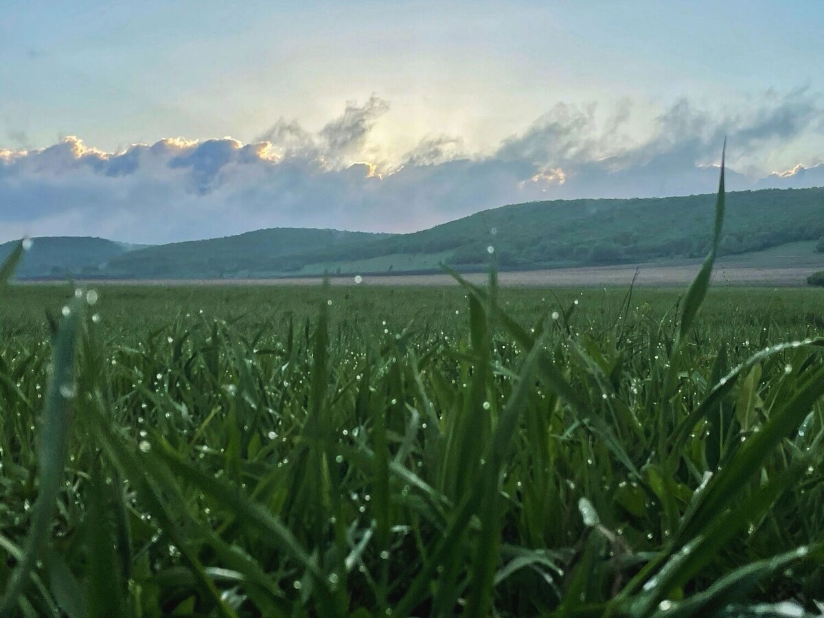     Источник: novostivolgograda.ru