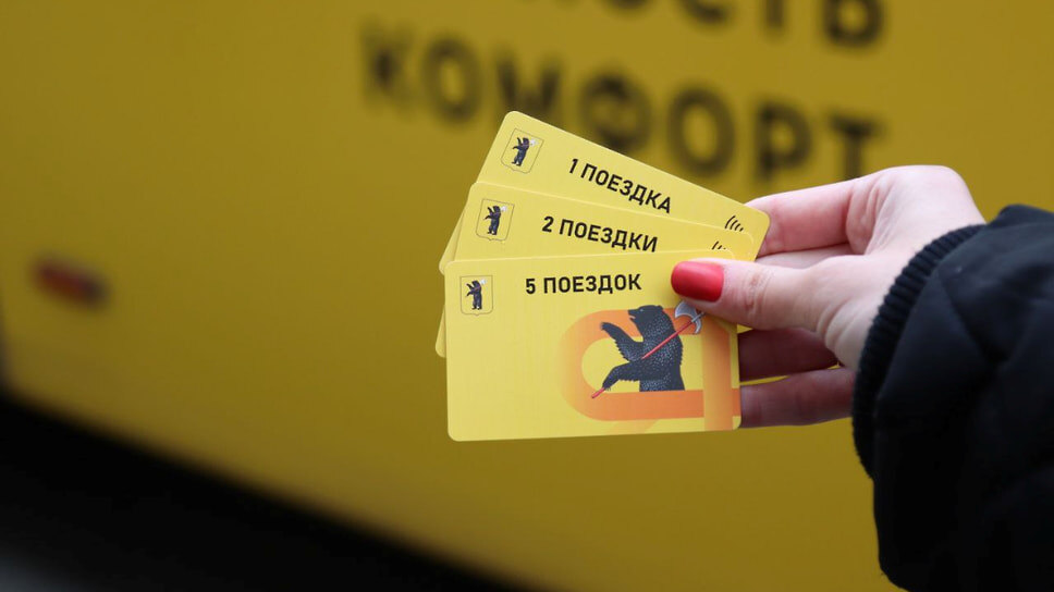 Фото: Правительство Ярославской области