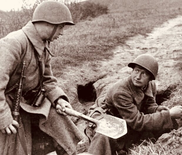 Древо жизни