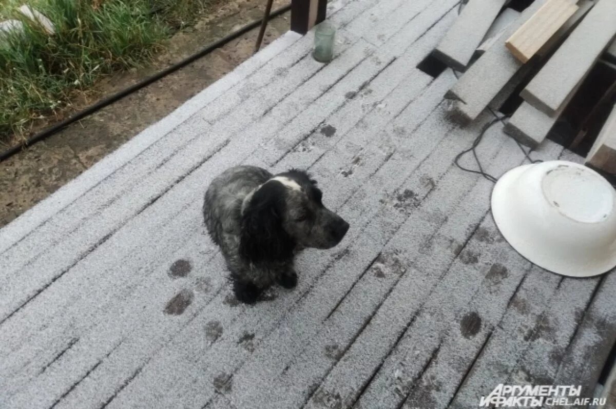    На Южный Урал вернутся заморозки