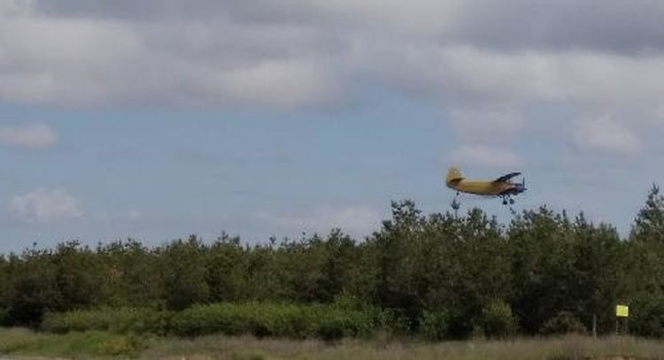    Леса в Волгоградской области защищают от вредителей с земли и с воздуха
