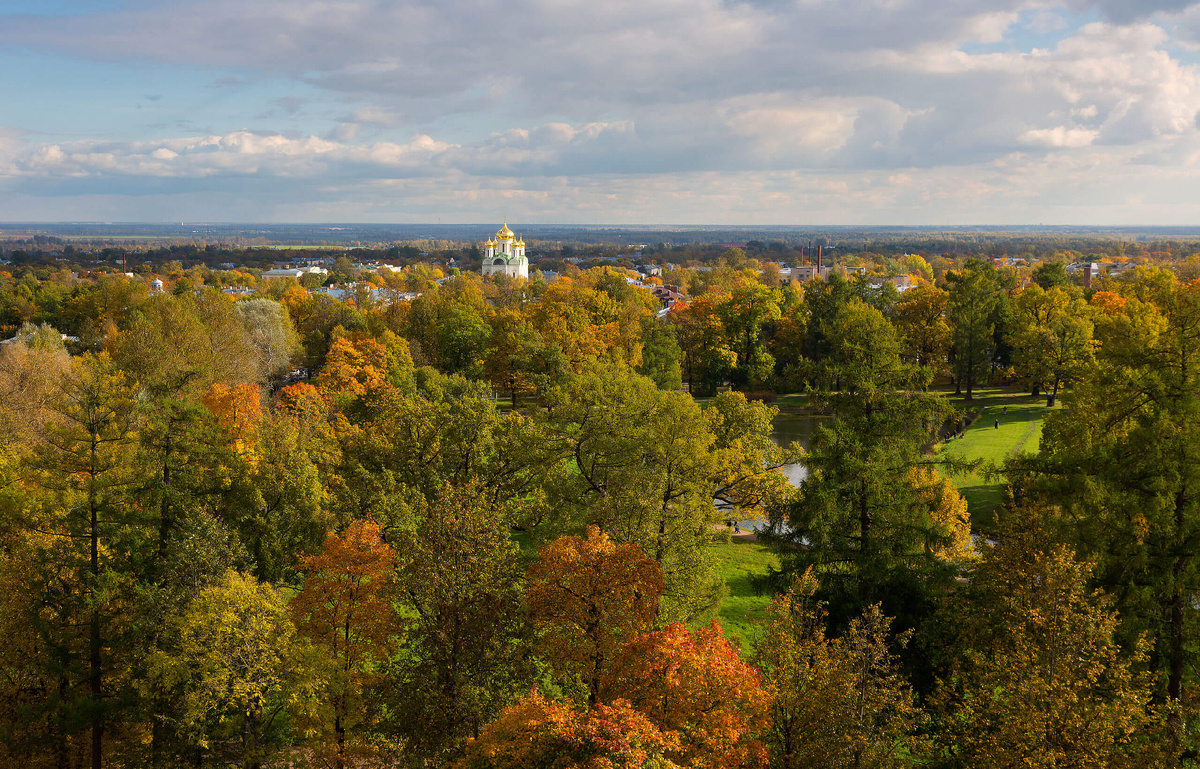 Pаповедник Царское Село, Пушкинский район. Авторство: Pavlikhin. Собственная работа, CC BY-SA 4.0, https://commons.wikimedia.org/w/index.php?curid=40318849